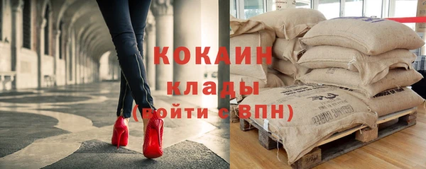 винт Сосновый Бор