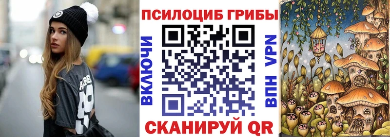 дарк нет как зайти  Чистополь  Псилоцибиновые грибы мицелий  наркота 